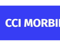 LORIENT - CCI du Morbihan